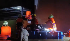 PT PLN Nusantara Power PT PLN Nusantara Power