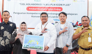 PLN Icon Plus PLN Icon Plus